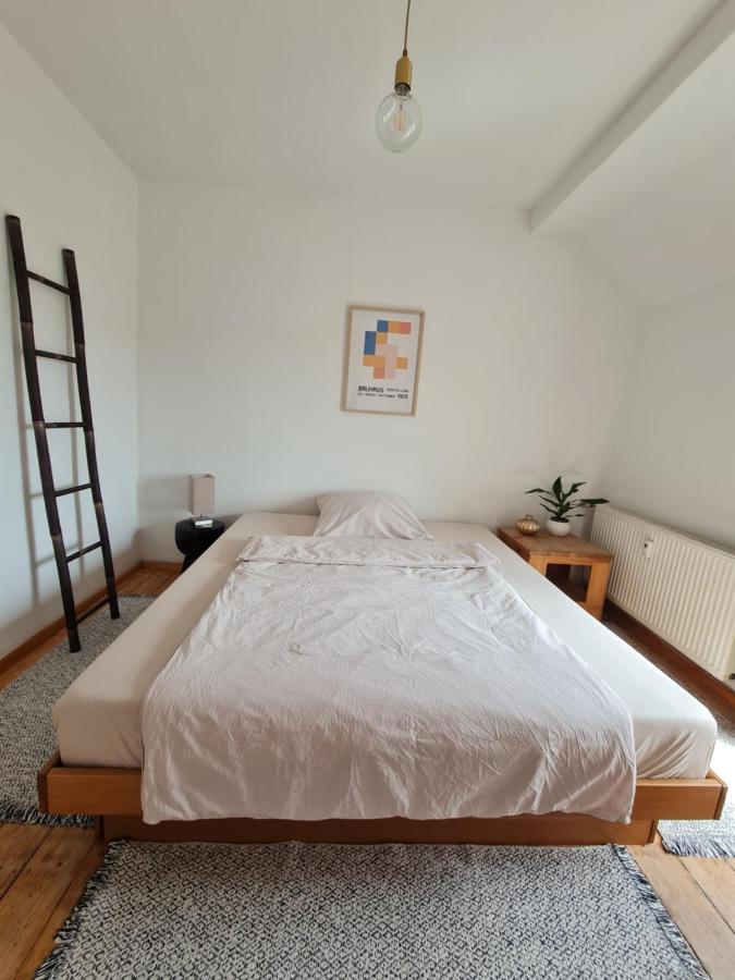 Geschmackvolle Wohnung Im Herzen Von Зинциг Экстерьер фото